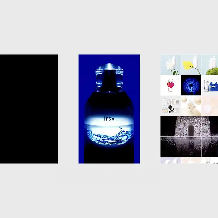 2016-｜IPSA Branding